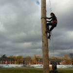 Pole