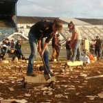 Wood chips
